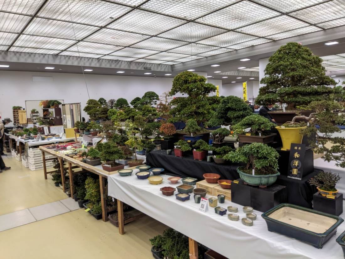 Sala del Taikanten, exposició de bonsai al Miyako Messe de Kyoto